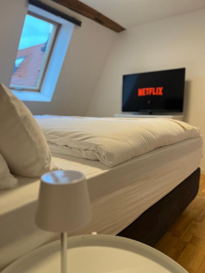Ludwigshome Zentralste Lage, Klima, Smarttv, Terrasse Ludwigsburg Eksteriør billede