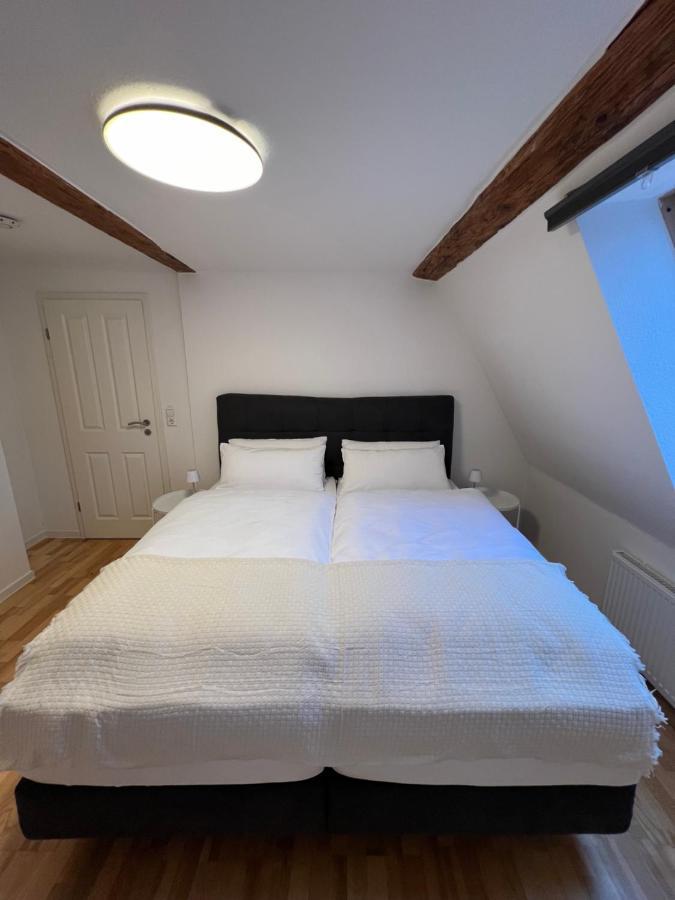 Ludwigshome Zentralste Lage, Klima, Smarttv, Terrasse Ludwigsburg Eksteriør billede